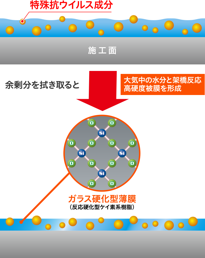 コーティング被膜のイメージ図