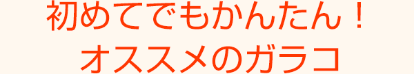 初めてでもかんたん!オススメのガラコ