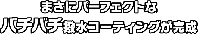 まさにパーフェクトなバチバチ撥水コーティングが完成