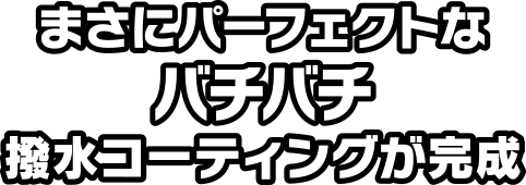 まさにパーフェクトなバチバチ撥水コーティングが完成