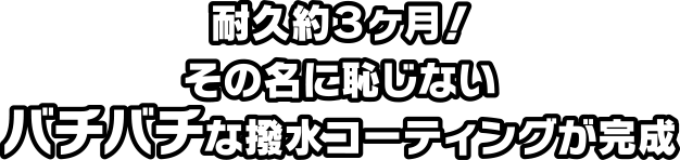 耐久約３ヶ月！その名に恥じないバチバチな撥水コーティングが完成