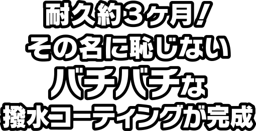 耐久約３ヶ月！その名に恥じないバチバチな撥水コーティングが完成