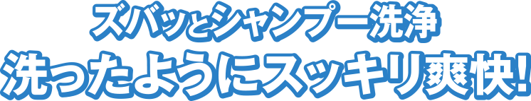 ズバッとシャンプー洗浄 洗ったようにスッキリ爽快！