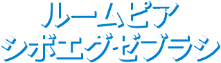 ルームピア シボエグゼブラシ