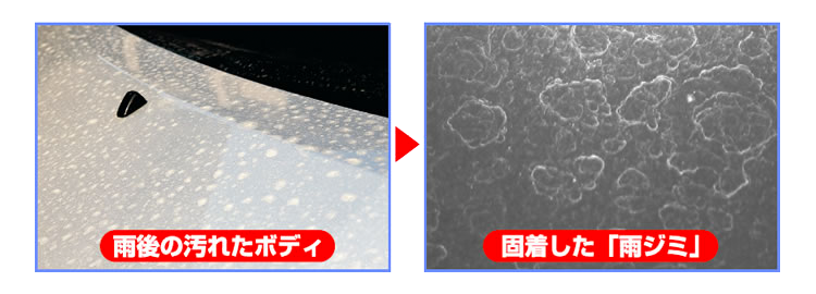 雨後の汚れたボティ>固着した「雨ジミ」