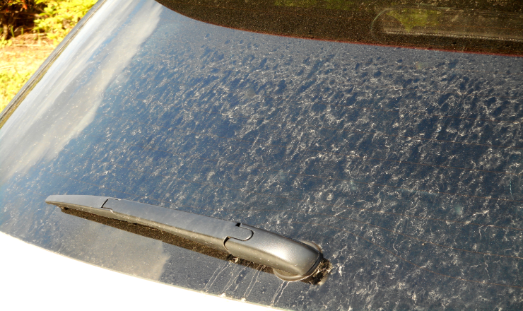 雨で汚れている車の画像